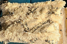 Charger l&#39;image dans la galerie, Lot coussin handira ,sabra et hirondelle
