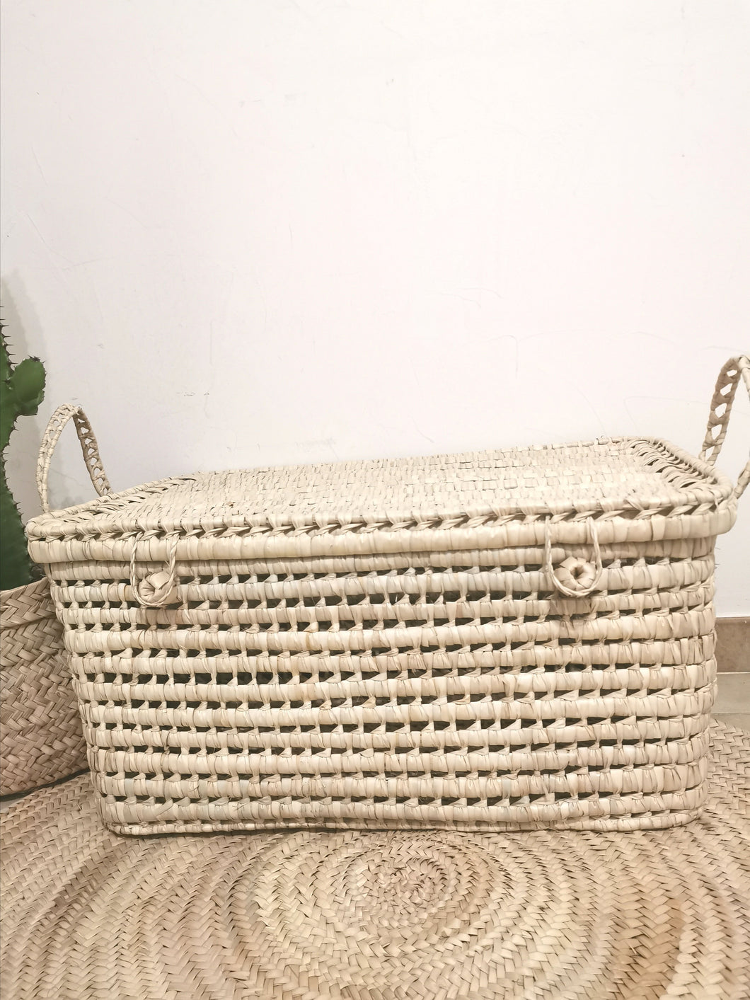 Malle de rangement L