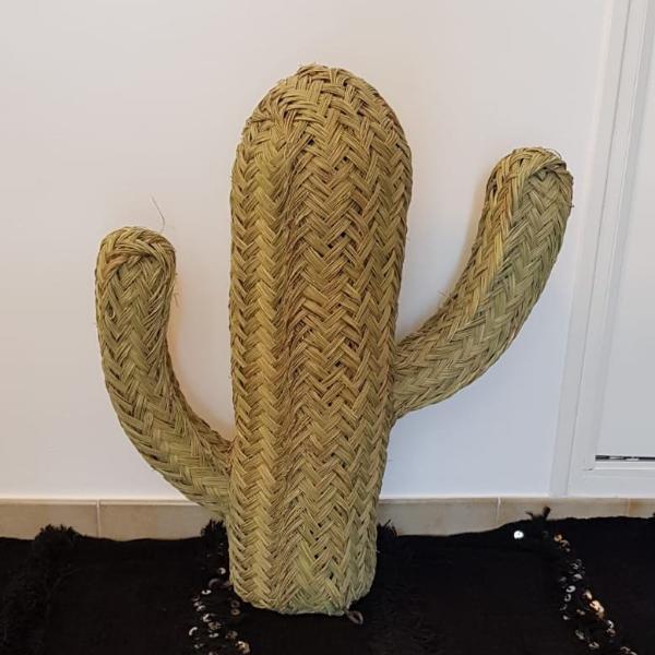 Cactus (plusieurs dimensions)